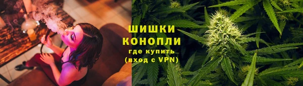 индика Алзамай
