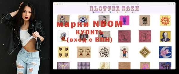 индика Алзамай