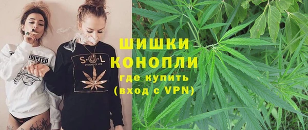 индика Алзамай