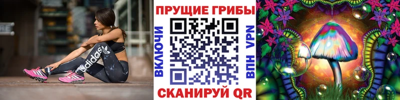 Псилоцибиновые грибы Psilocybine cubensis  купить   OMG вход  Тверь 