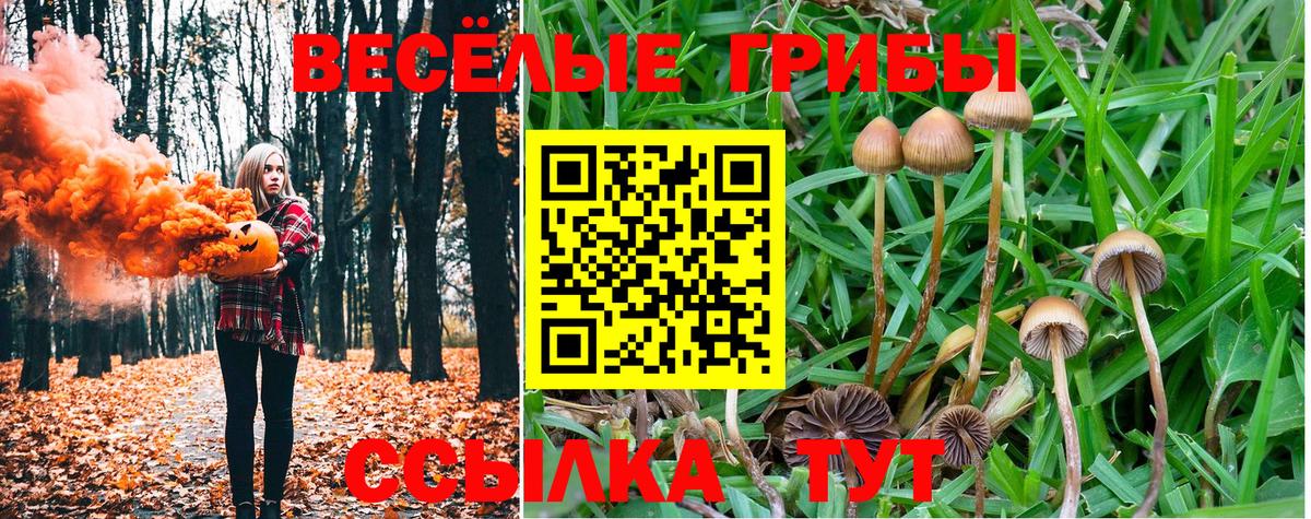 Галлюциногенные грибы мицелий  Псилоцибиновые грибы MAGIC MUSHROOMS  Тверь  Вход с VPN 