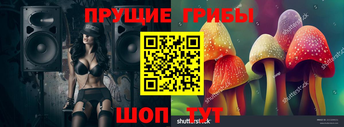 Псилоцибиновые грибы мицелий Тверь