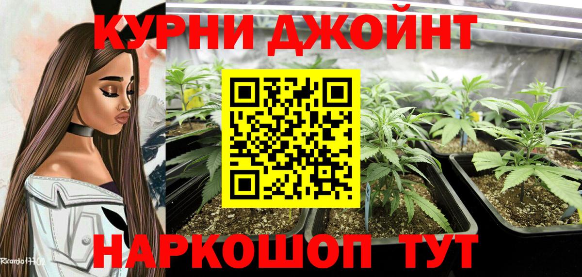 Шишки марихуана сатива  Канабис индика  Шишки марихуана SATIVA & INDICA  Вход с VPN  Тверь 